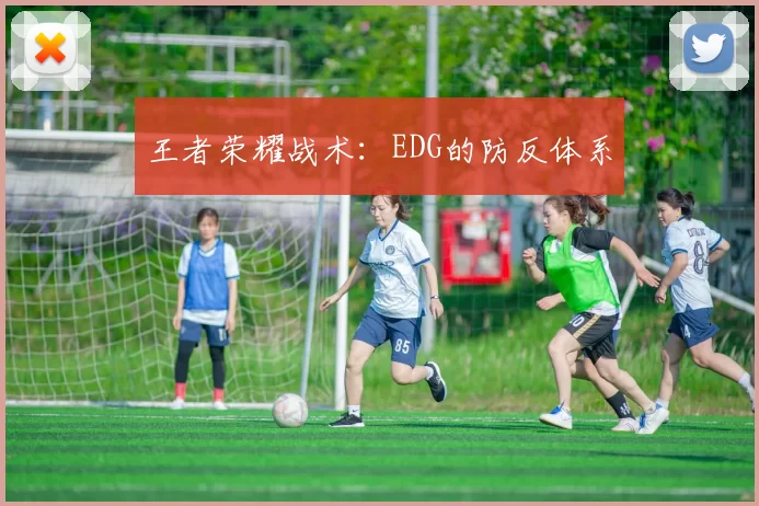 王者荣耀战术：EDG的防反体系