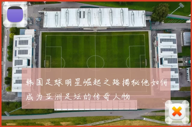 韩国足球明星崛起之路揭秘他如何成为亚洲足坛的传奇人物
