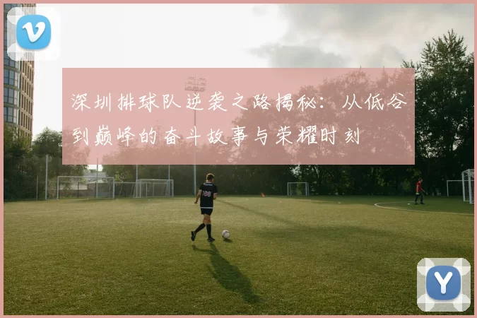 深圳排球队逆袭之路揭秘：从低谷到巅峰的奋斗故事与荣耀时刻