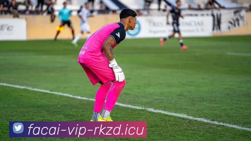 华体会体育服务体系